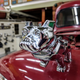Illustration for article titled BC Vintage Truck Museum
